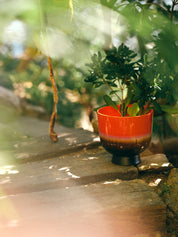 HKLIVING  RETRO FLOWER POT CHERRY RED