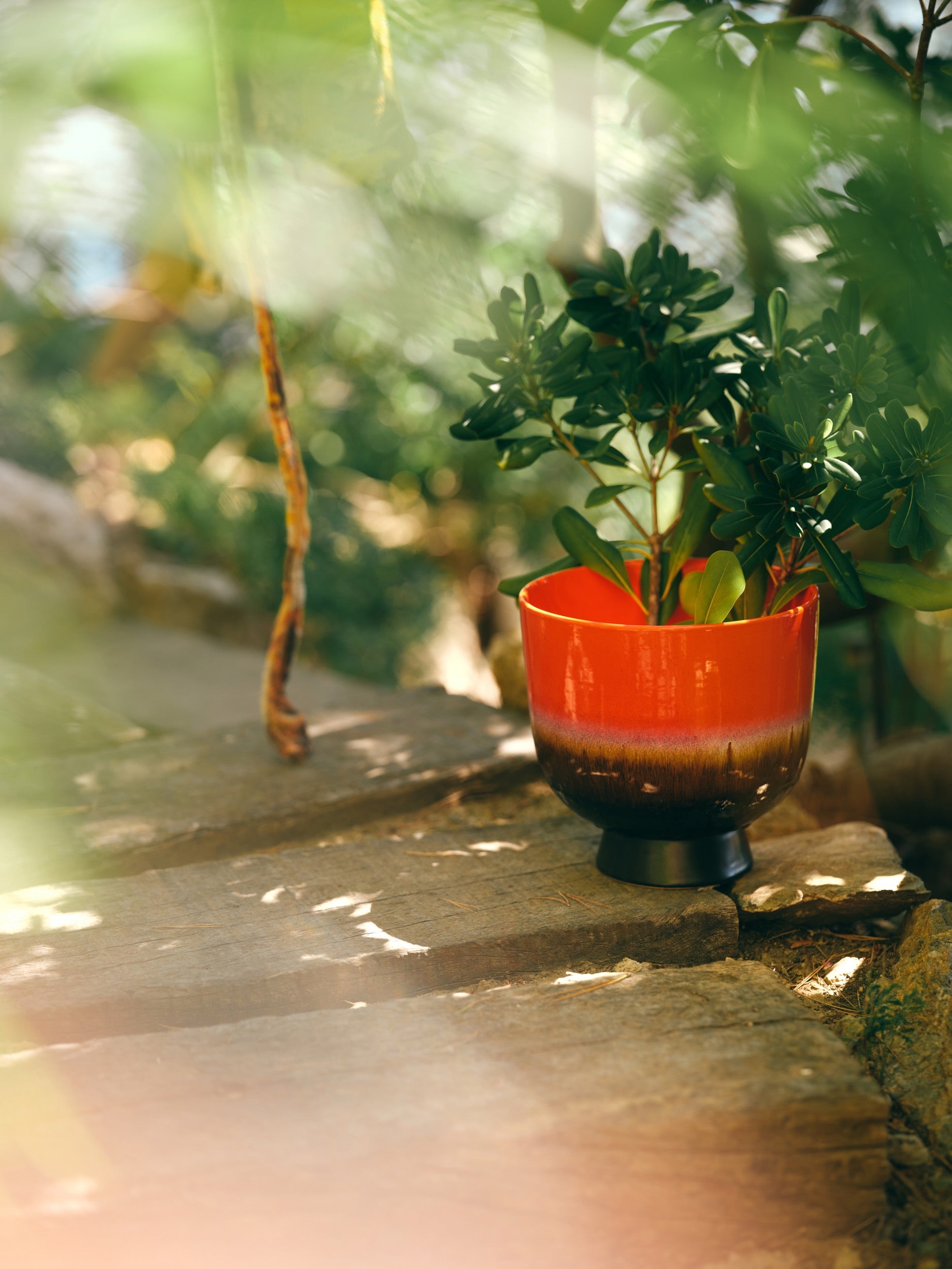 HKLIVING  RETRO FLOWER POT CHERRY RED