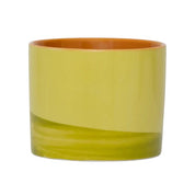 URBAN NATURE MUG TAZZA EVERGREEN SPRIG