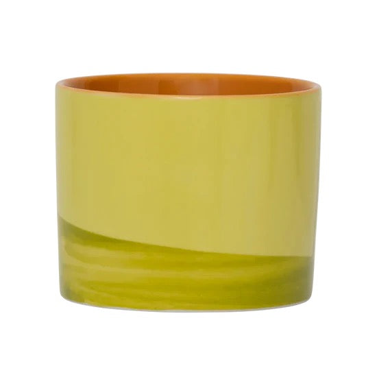 URBAN NATURE MUG TAZZA EVERGREEN SPRIG